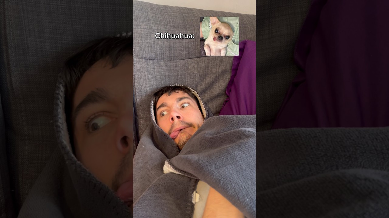 Cada uno protege la casa a su manera😂 #humorperros #humormascotas #perrosgraciosos #videosdeperros