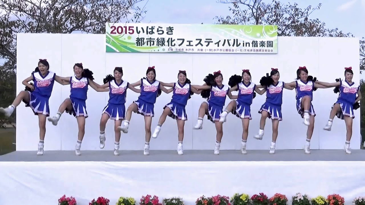 2015/10/03 水戸商業高等学校チア・ダンス部 ブルートゥインクルズ 2/4
