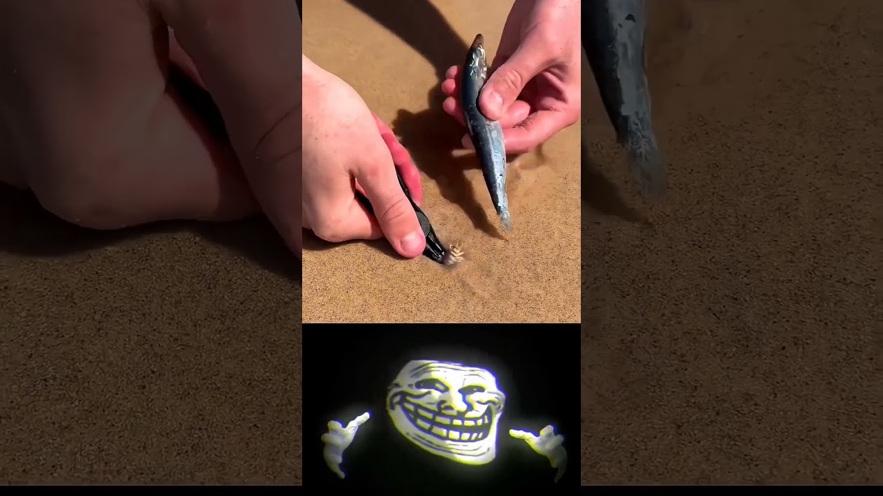 Can we reach 20 today?💀  