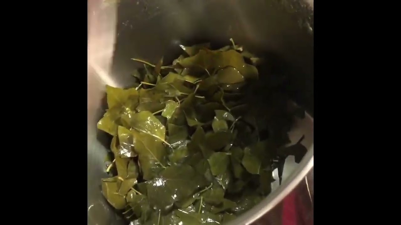 Ivy Leaf Detergent - Natural & Free