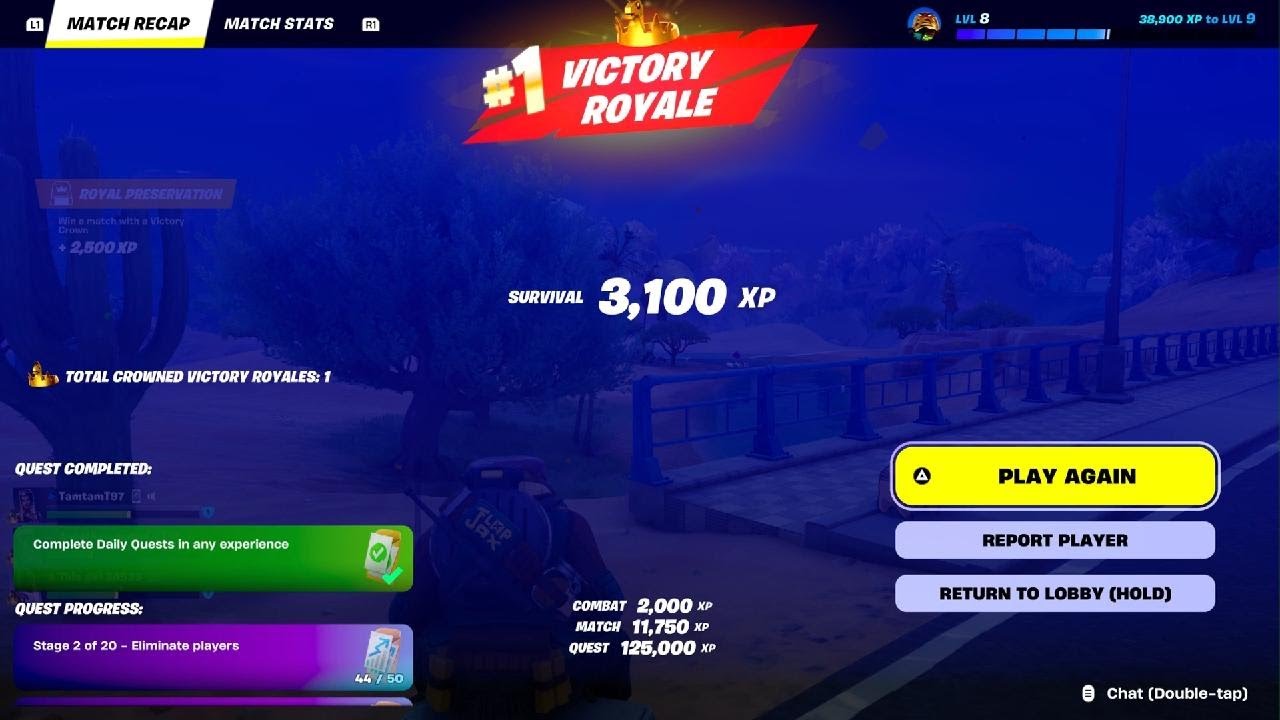 Fortnite Chapter 7 mancake victory with fam