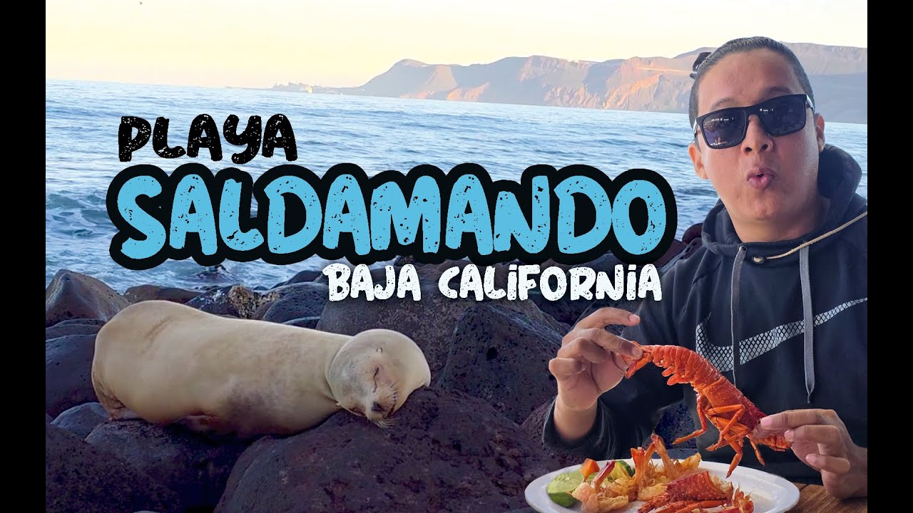 📌Playa SALDAMANDO / Día 8 recorriendo Baja California, México. ⛺