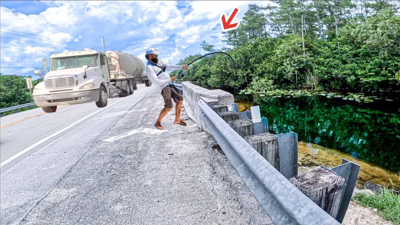 Bridge Fishing Florida Everglades For Every Species!