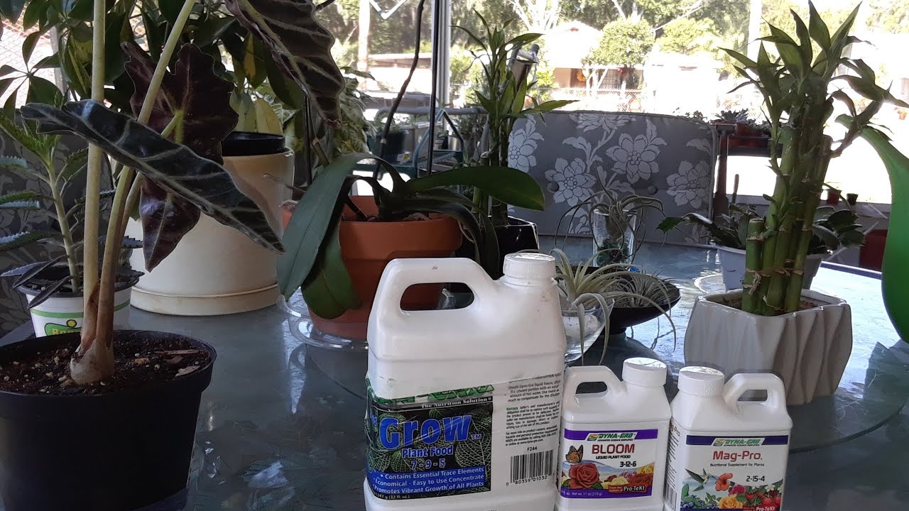 When to use Grow & bloom nutrients on different plants and vegetables throughout the garden 🌻🍅🍓🥕