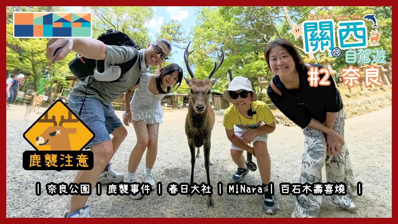 《奈良鹿襲》關西自駕遊第2集  #奈良公園 #春日大社 #M!Nara #百石木壽喜燒 #長堀停車場
