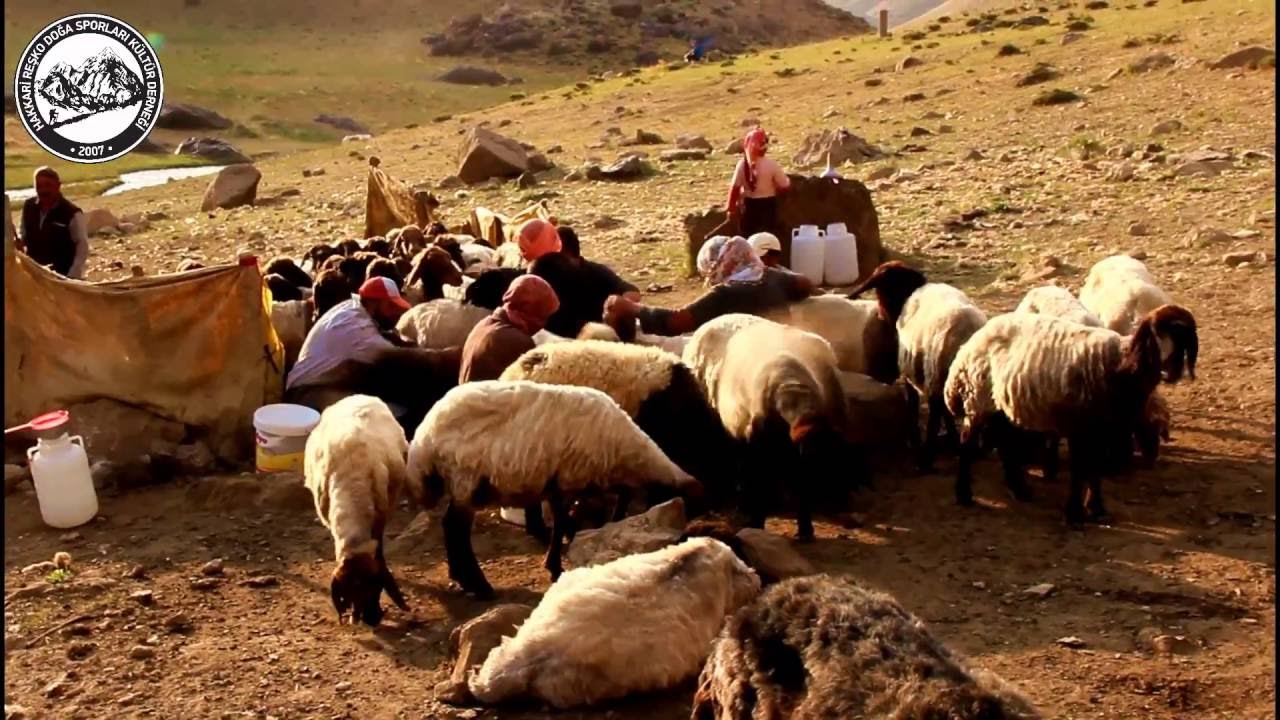 Hakkari Cilo Buzulları Tanıtım Belgeseli - 12