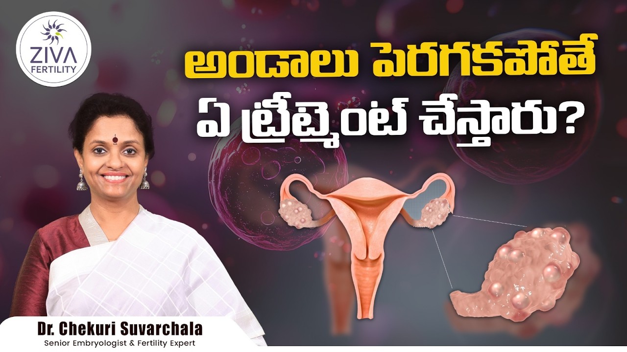 అండాలు పెరగకపోతే ఏ ట్రీట్మెంట్ చేస్తారు | Ovulation Induction Telugu | DrSuvarchala | Ziva Fertility