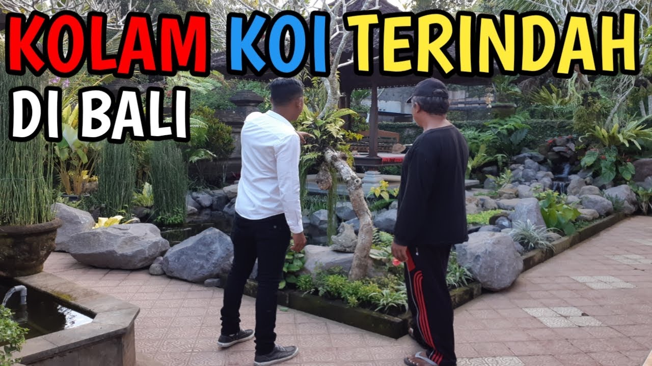 KOLAM KOI NATURAL TERINDAH DI BALI!RAHASIA KOLAM KOI TERINDAH#KOLAMKOI#NATURALPOND#NATURAL#BALI