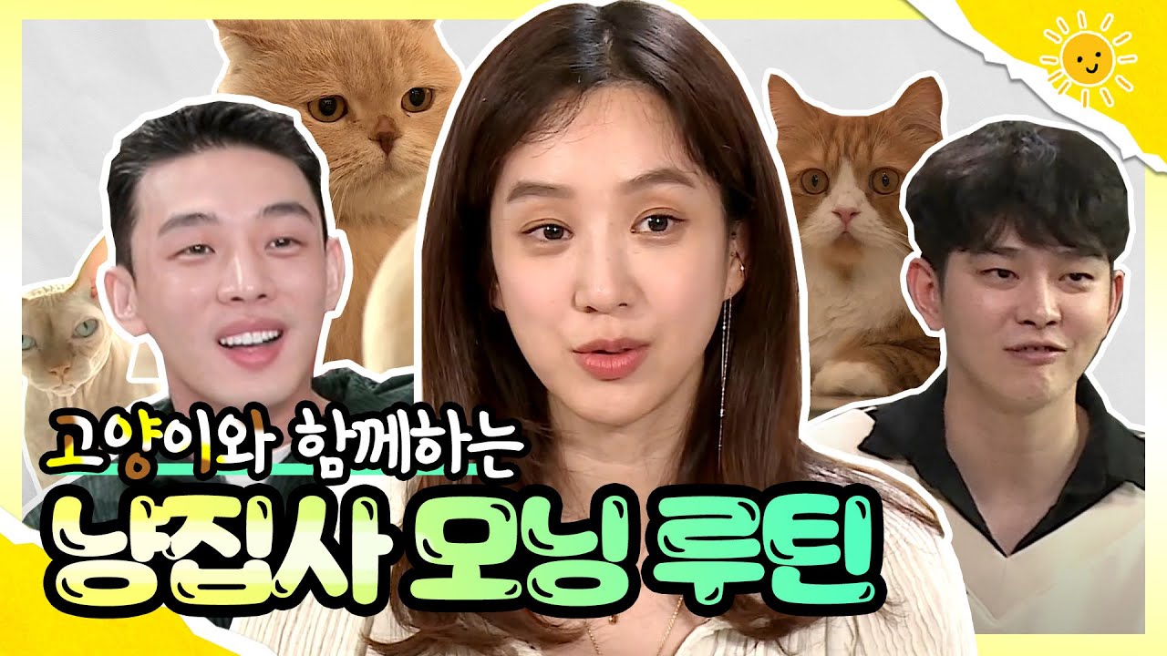 《나혼산스페셜》 유아인X정려원X윤균상ㅣ🧡고양이와 함께하는 냥집사들의 모닝 루틴🌅😺| TVPP | MBC 200619 방송