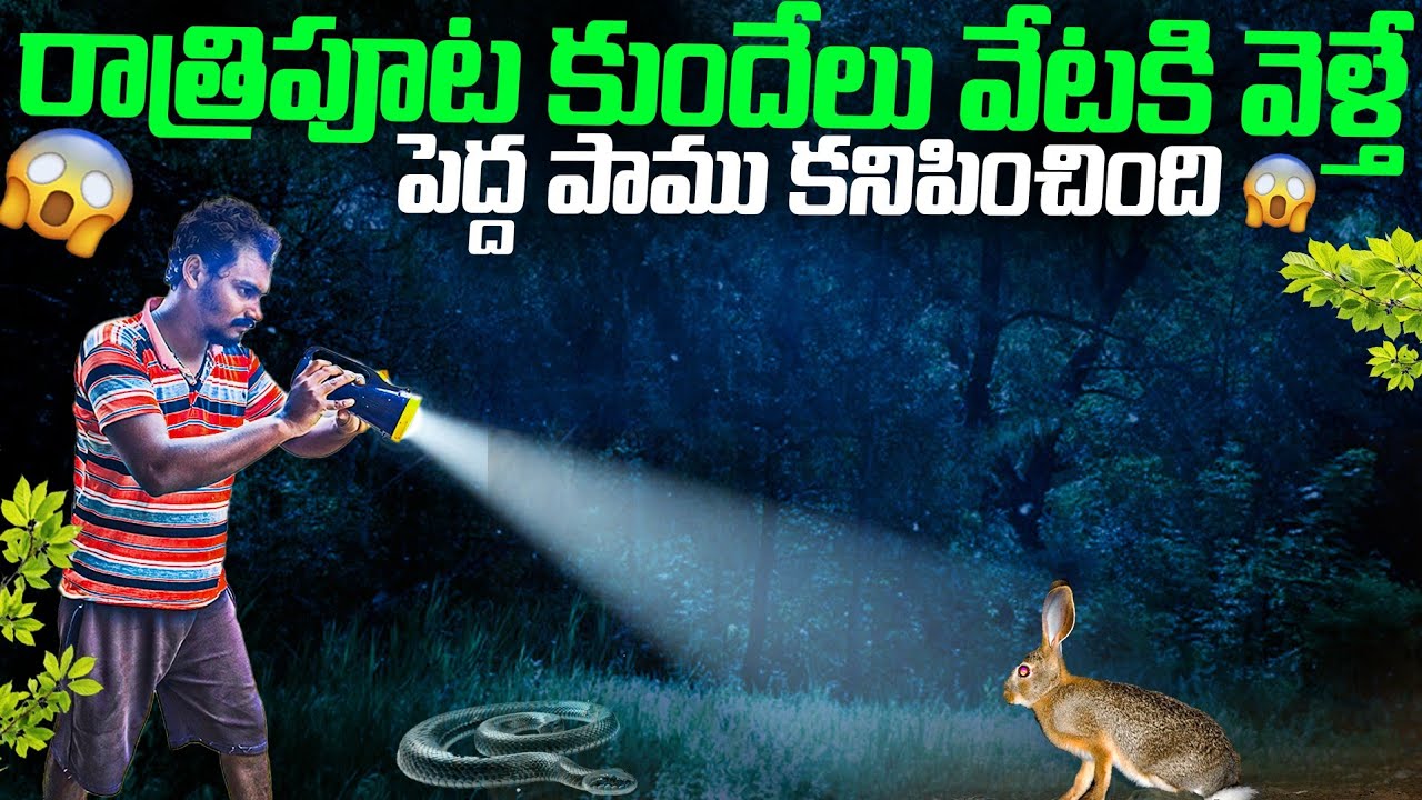 🐰 రాత్రిపూట బెటర్ లైట్ తో వేటకి వెళ్ళాము 👈 Night Hunting with Better Lights