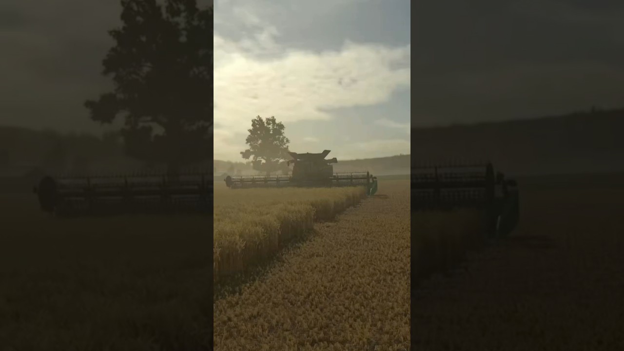 🌾 Wheat harvest with JOHN DEERE | Farming Simulator 25 
