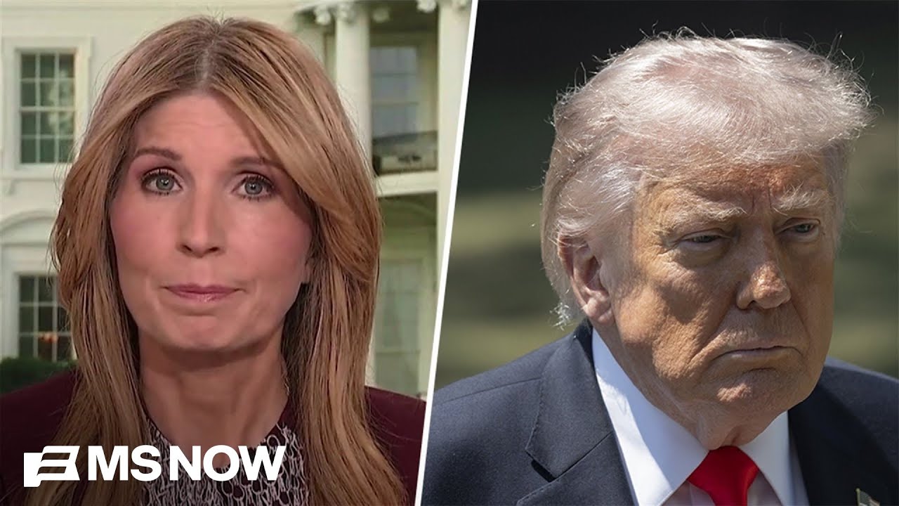 'Calling themselves LOSERS for supporting YOU': Nicolle reacts to Trump voters now DISMAYED by Trump