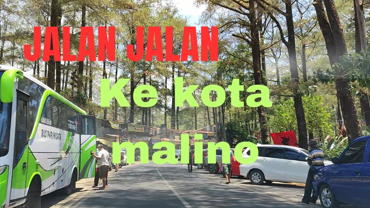 jalan jalan ke kota bunga malino, kabupaten gowa dikelilingi hutan pinus yang asri