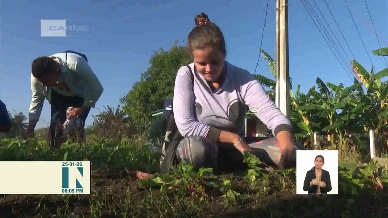 Labores de higienización en jornada productiva nacional