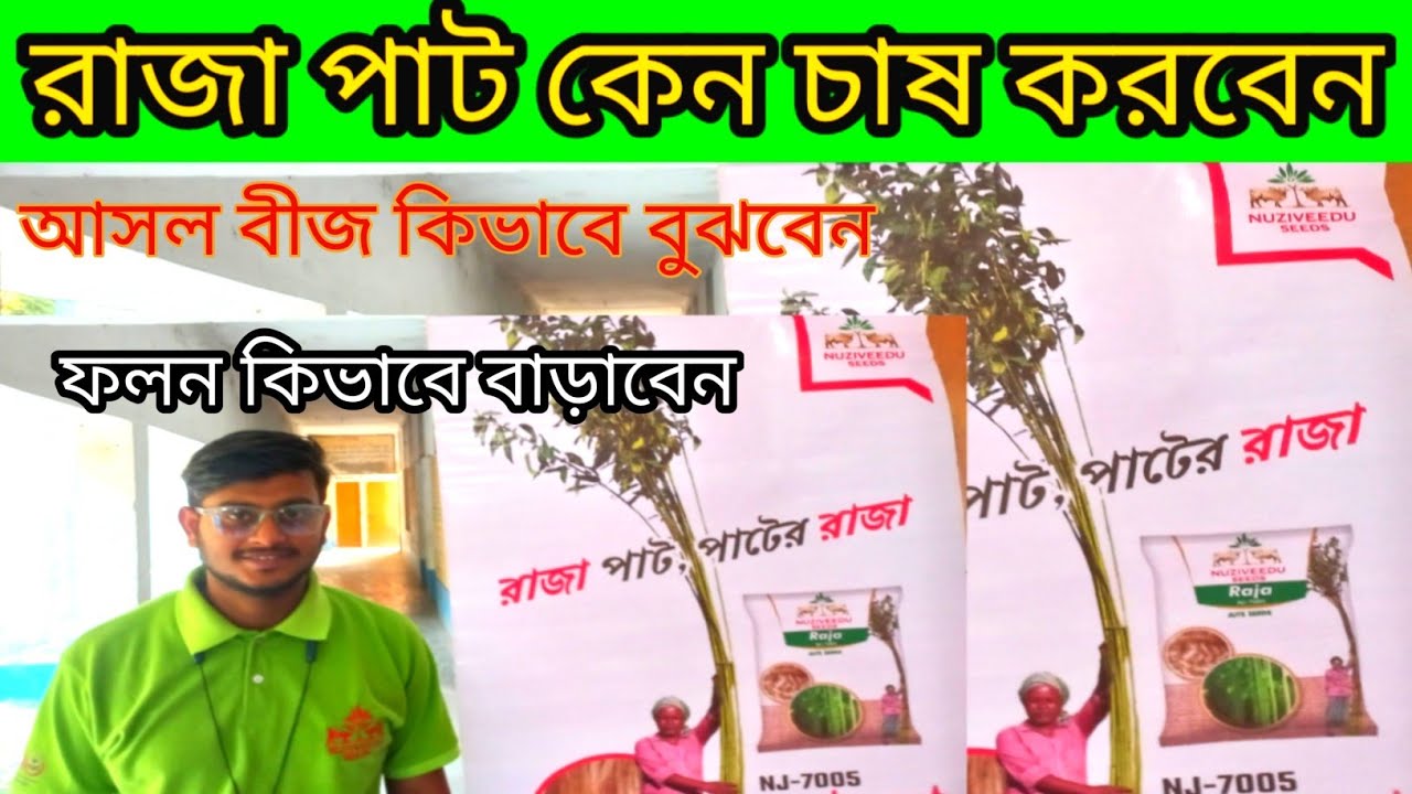 রাজা পাট কেন চাষ করবেন? নকল বীজ কিভাবে বুঝবেন? সম্পুর্ন জানকারী। jute farming.