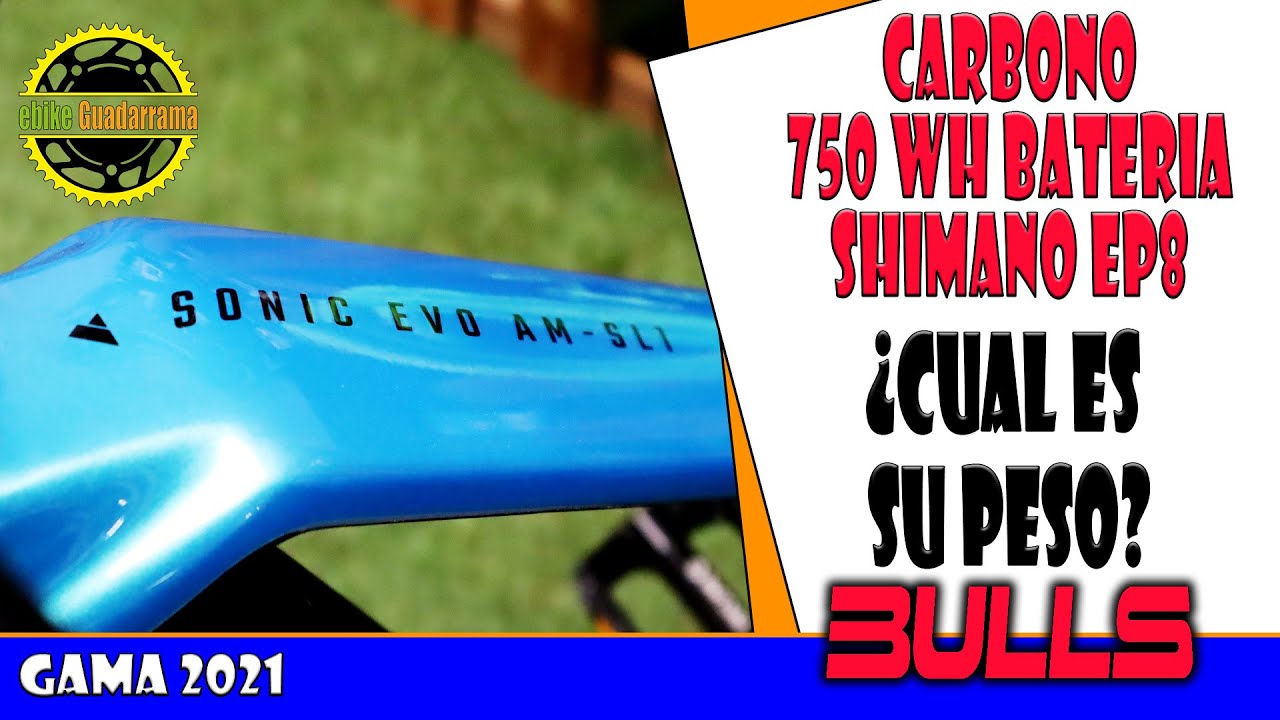 E-BIKE BULLS SONIC EVO AMSL1