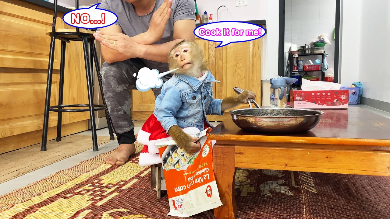 Monkey Lyly was disappointed because the cameraman didn't know how to cook her favorite dish.