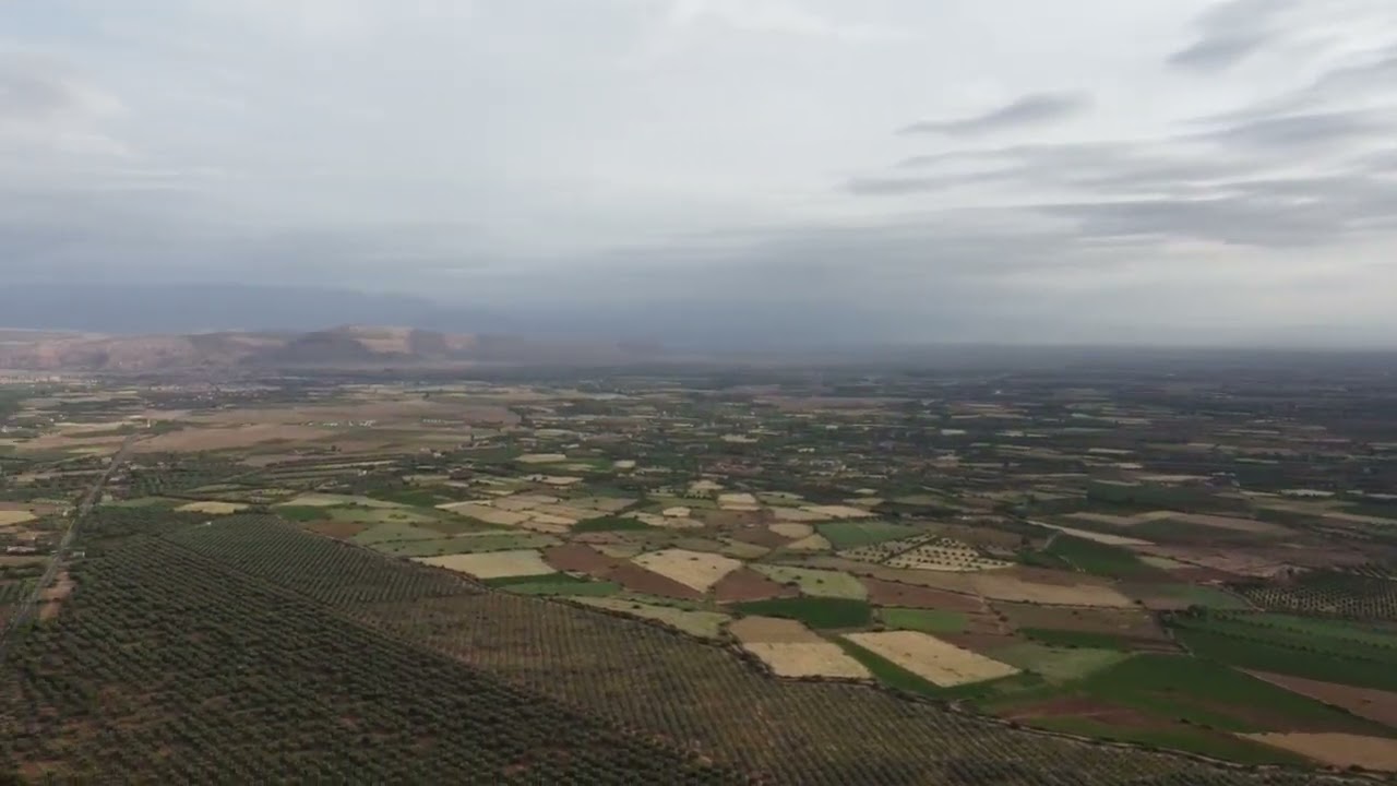 DJI 0438