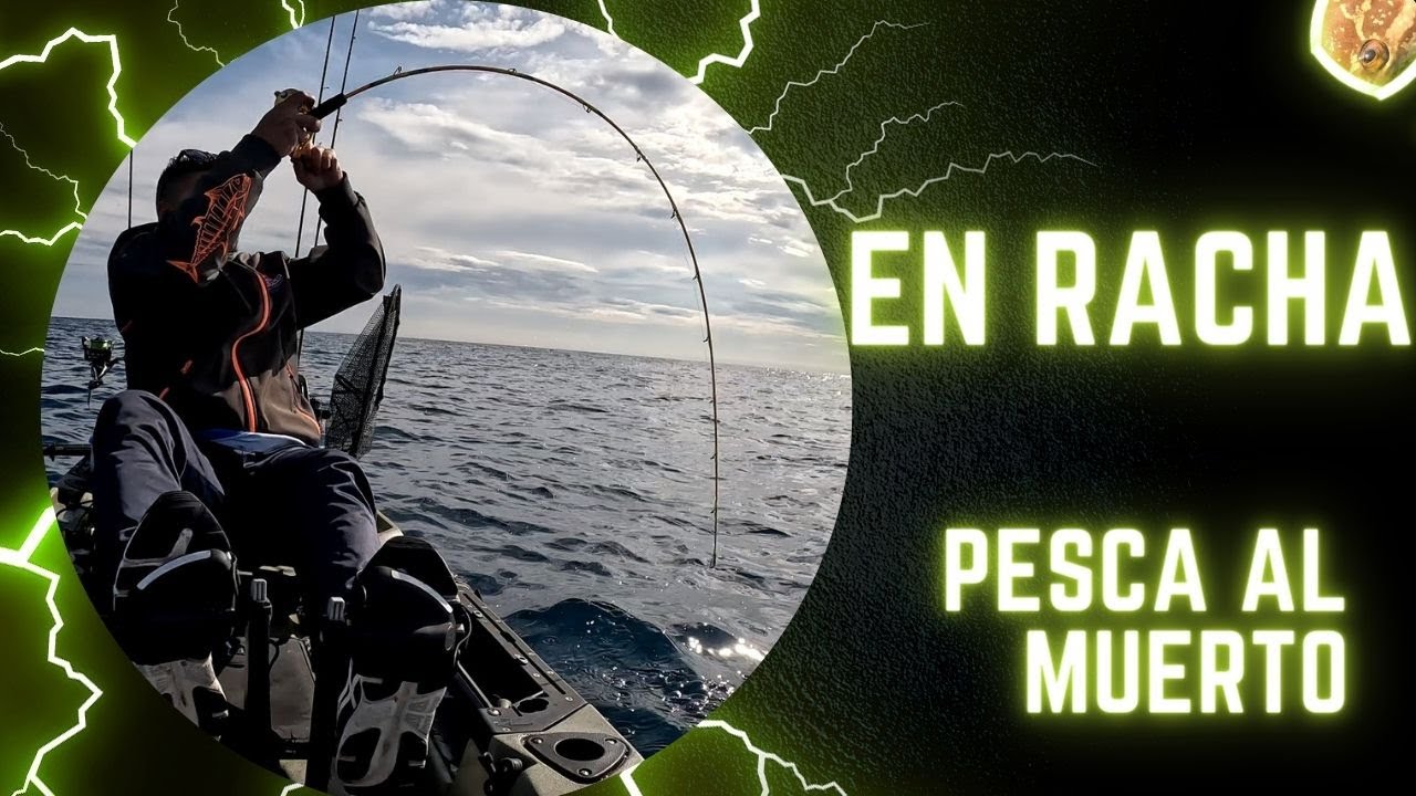 TIP RUN EGING en kayak y pesca con SEPIA (muerta).