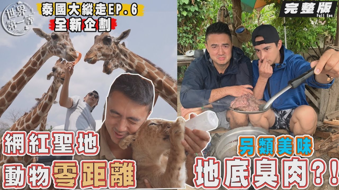 【泰國】班傑 潘君侖｜時速150公里狂飆水上F1/超夯泰北野生動物園/另類臭肉料理《世界第一等》泰國大縱走 泰瘋嬉遊記《世界第一等》泰國大縱走 1106集完整版 Full EP.1106