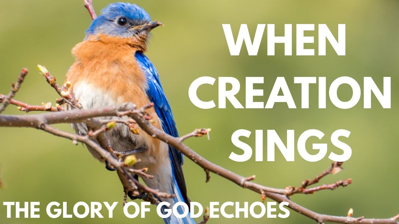 When Creation Sings | The Glory Of God Echoes