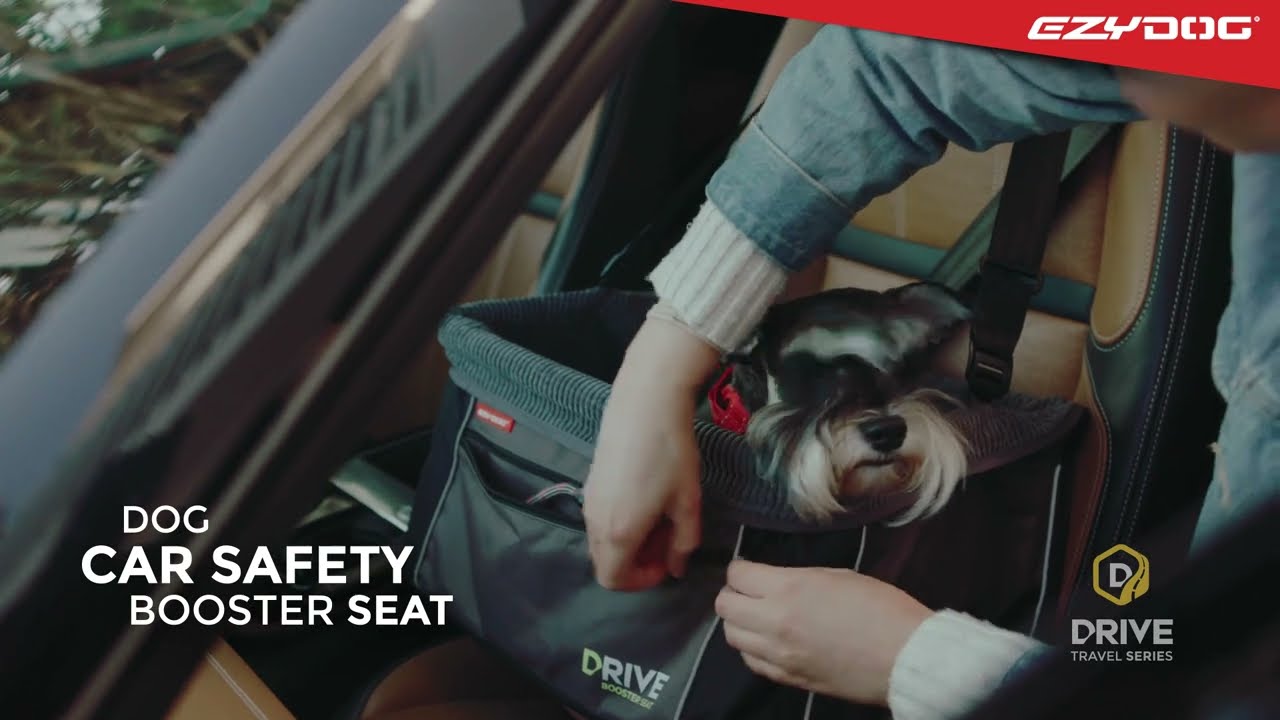 EzyDog New DRIVE Series