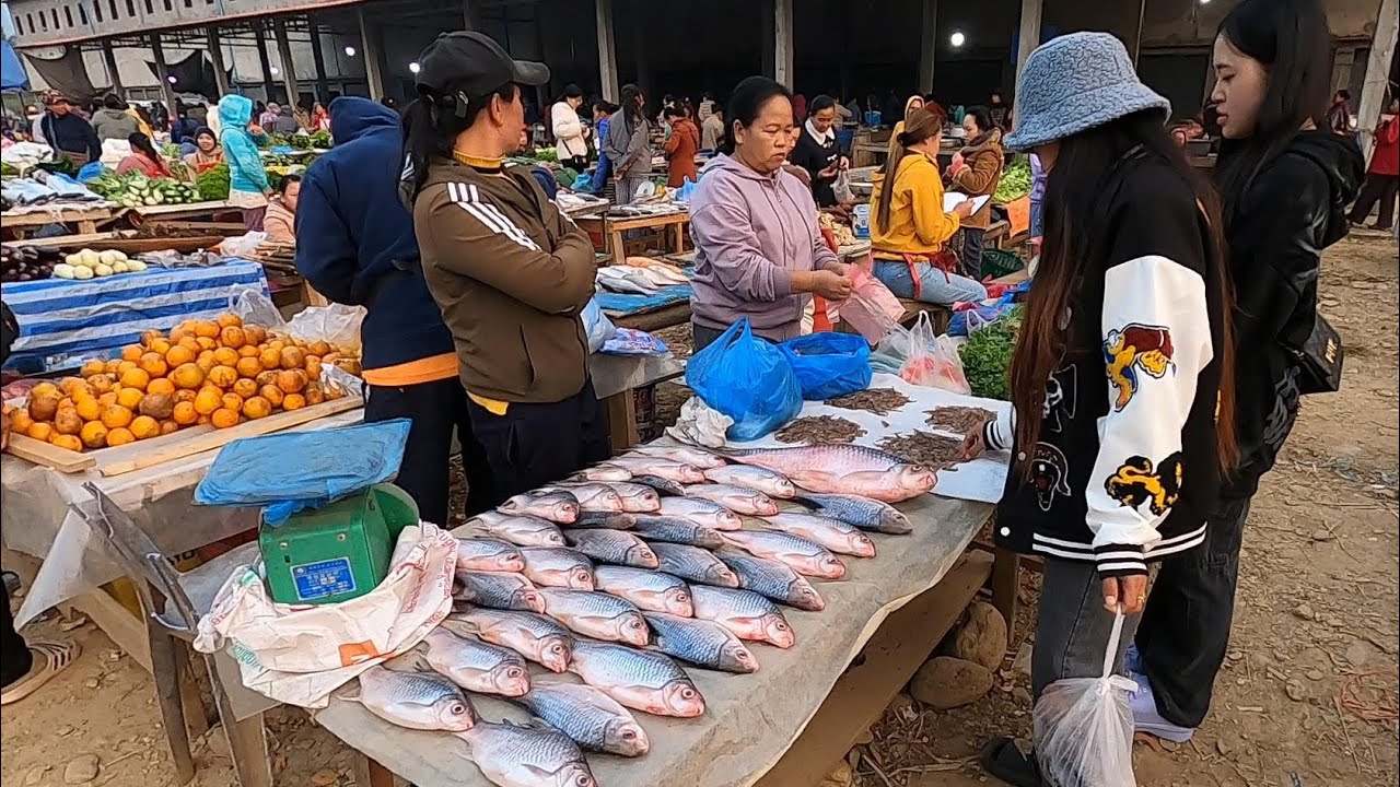ตลาดบ้านหนองเขียว แขวงหลวงพระบาง สปป.ลาว  ปลาน้ำอู หลายคัก วิวงามๆ Lao market