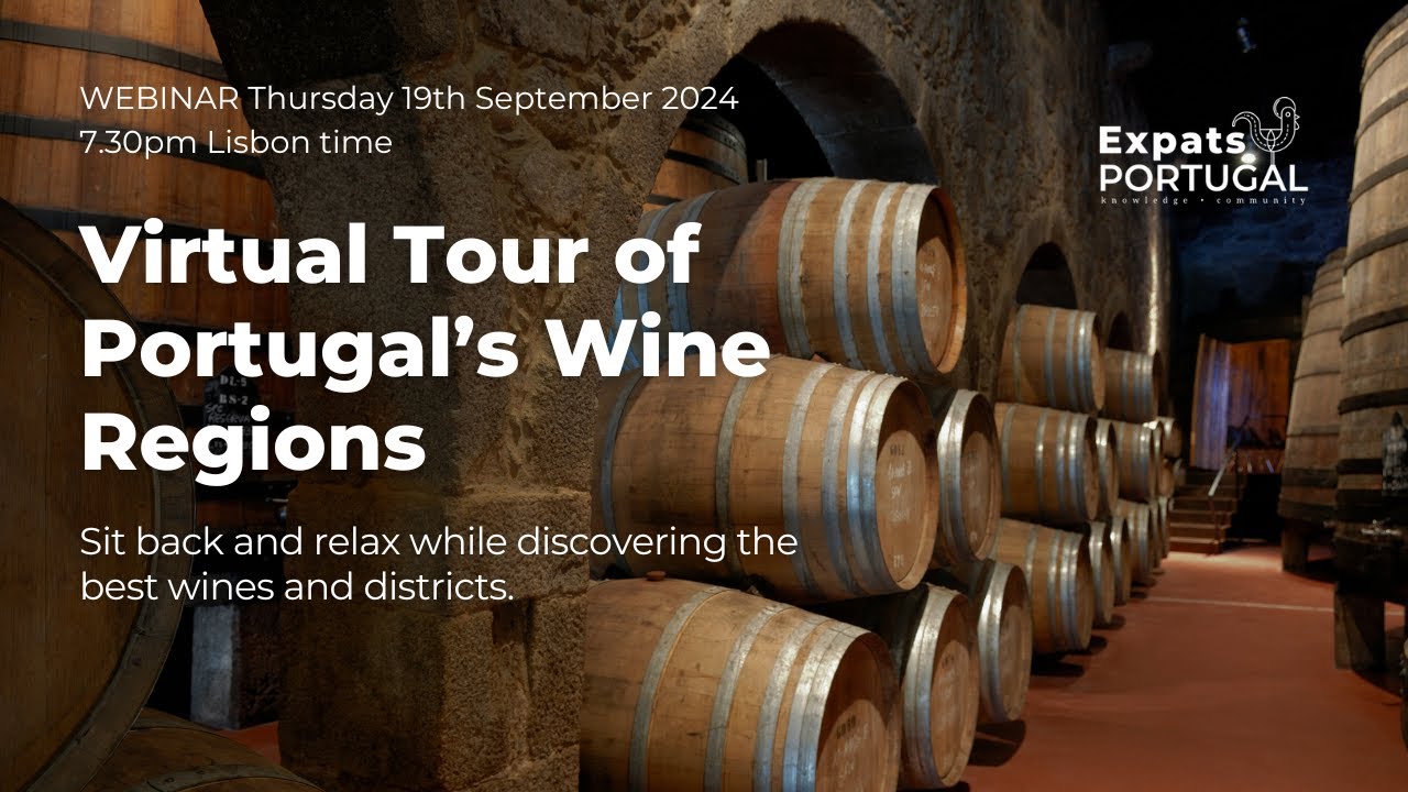 🍷 Virtual Tour of Portugal’s Wine Regions - Discover Portuguese Wines, Regions & Traditions