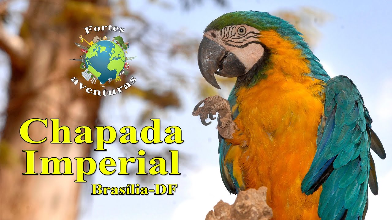 Conhe&ccedil;a a Chapada Imperial  - Um para&iacute;so bem pr&oacute;ximo &agrave; Bras&iacute;lia