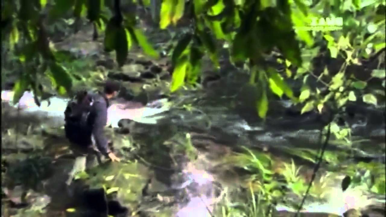 YTP - Bear Grylls insegna a mangiare qualsiasi cosa