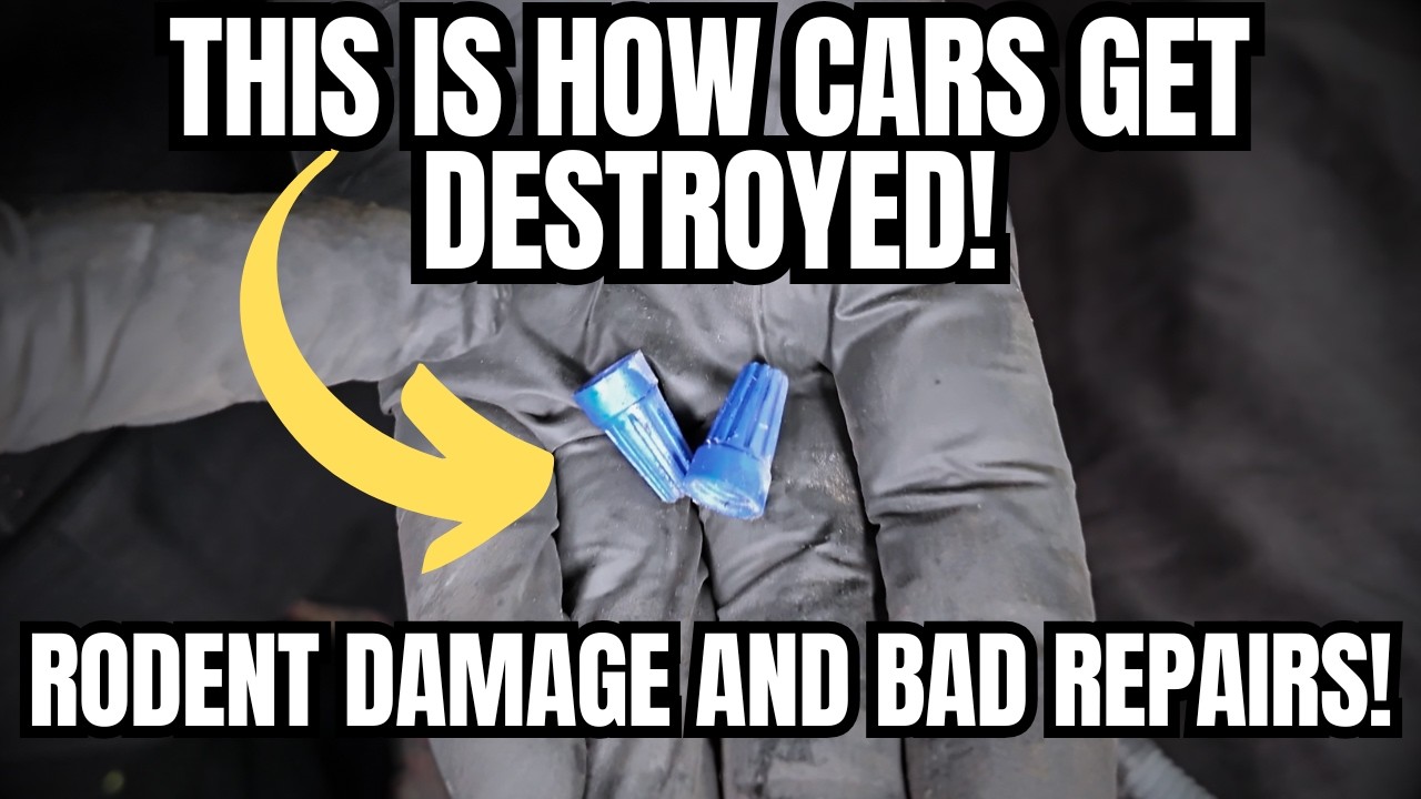 This is How Cars Get Destroyed! Bad Repairs and Rodent Damage