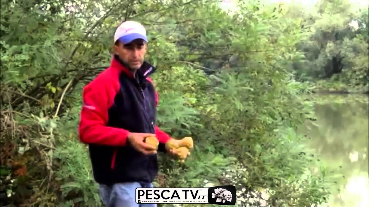 Come PESCARE a BOLOGNESE sul Mincio (completo)