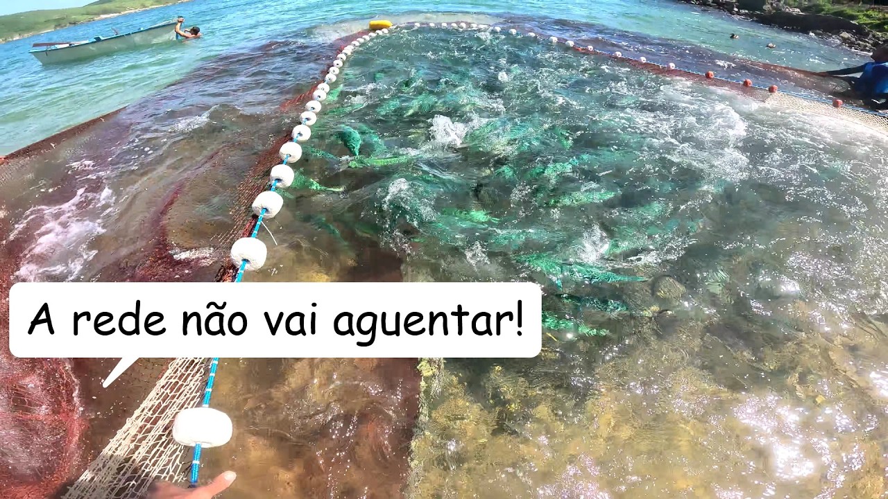 NINGU&Eacute;M ESPERAVA ISSO EM ARRAIAL DO CABO 14/02/26 CARNAVAL TAMB&Eacute;M TEM PESCA