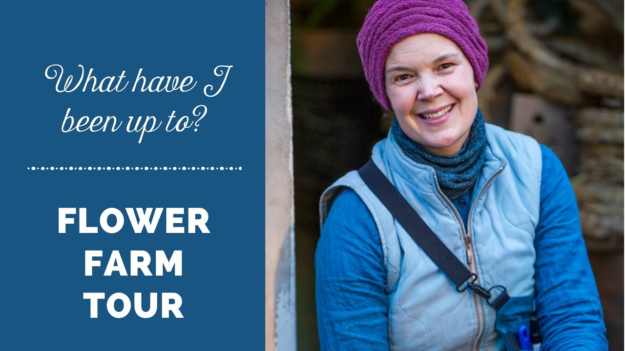 What I have been up to lately - Flower farm tour