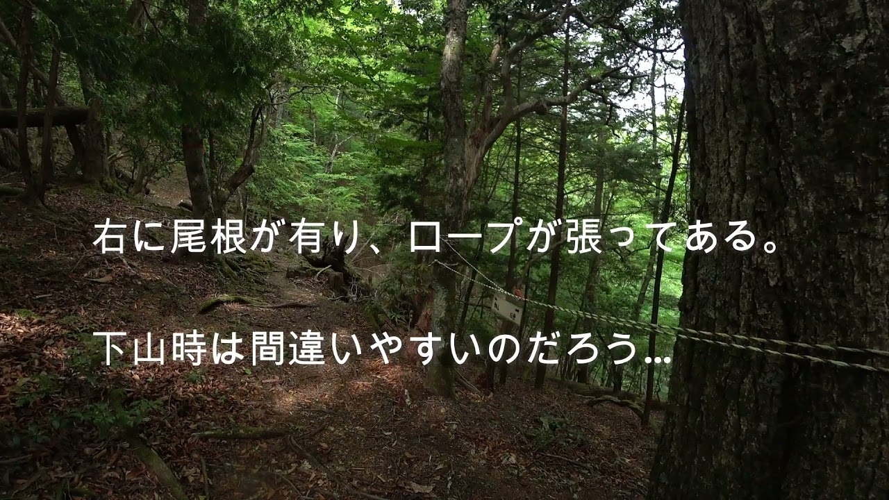 八丁橋から富田新道で雲取山ピストン日帰り