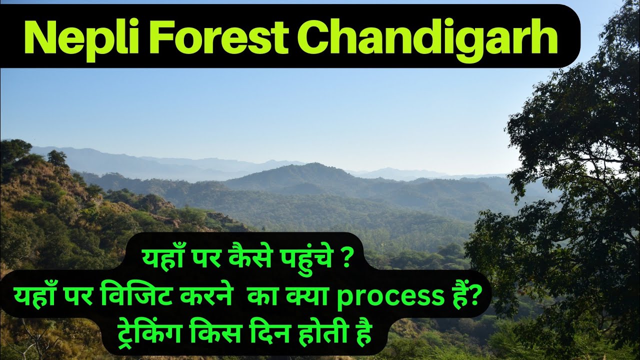 #Nepli forest #kansal forest #Sukhna wildlife sanctuary trekking #sukhna lake Chandigarh #chandigarh