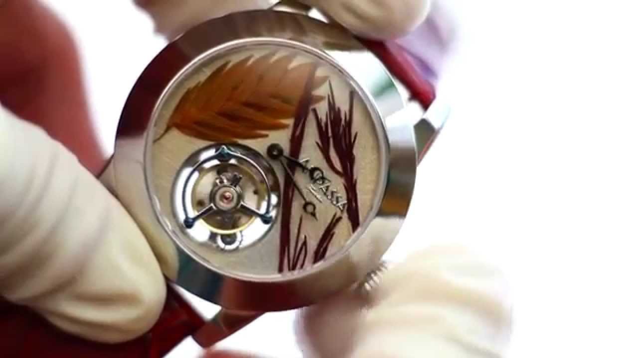 ANPASSA Video