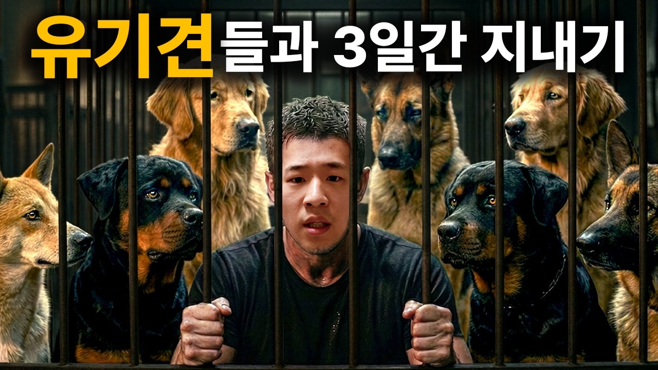 대형견 보호센터에서 살아남기 | [쫄지말GO - 봉사 ep.2]