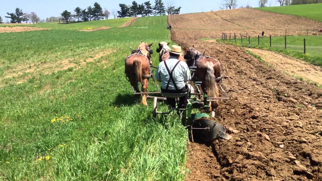 Pioneer Spring Assist Sulky Plough sold by Atlantic Draft Horse Supply