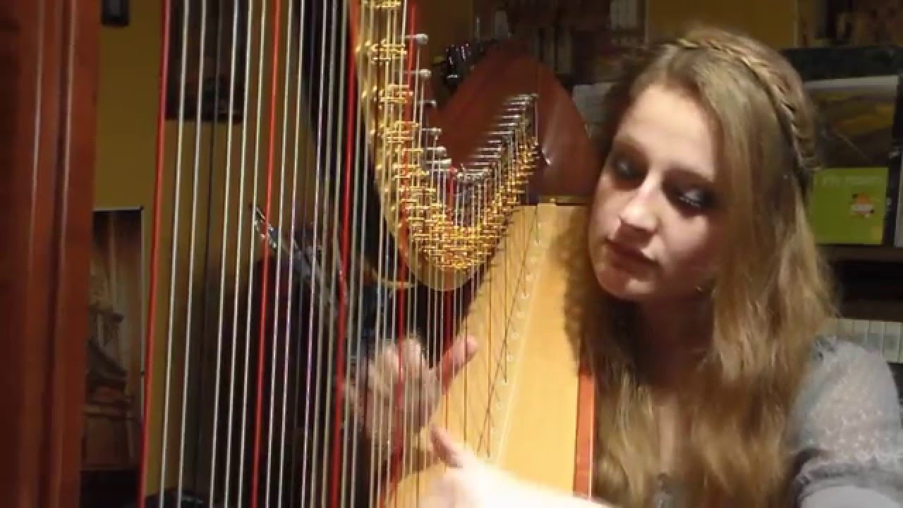 Comme d'Habitude - Claude François / My Way - Frank Sinatra (Harp Cover)