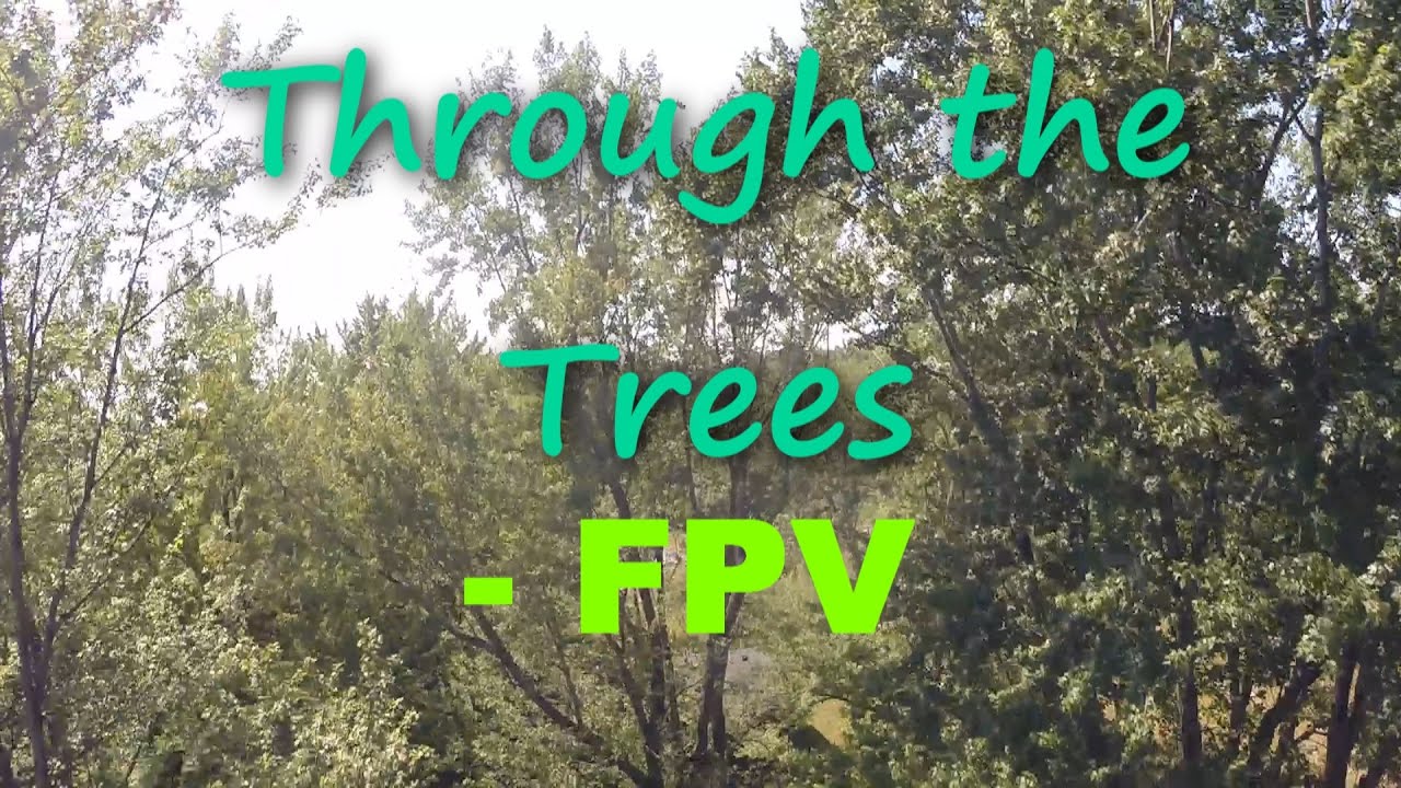 Through the Trees - FPV