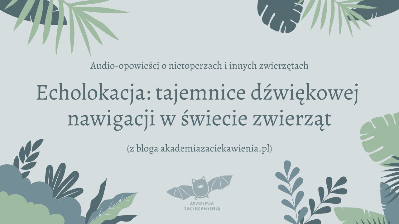 Echolokacja: Tajemnice dźwiękowej nawigacji w świecie zwierząt