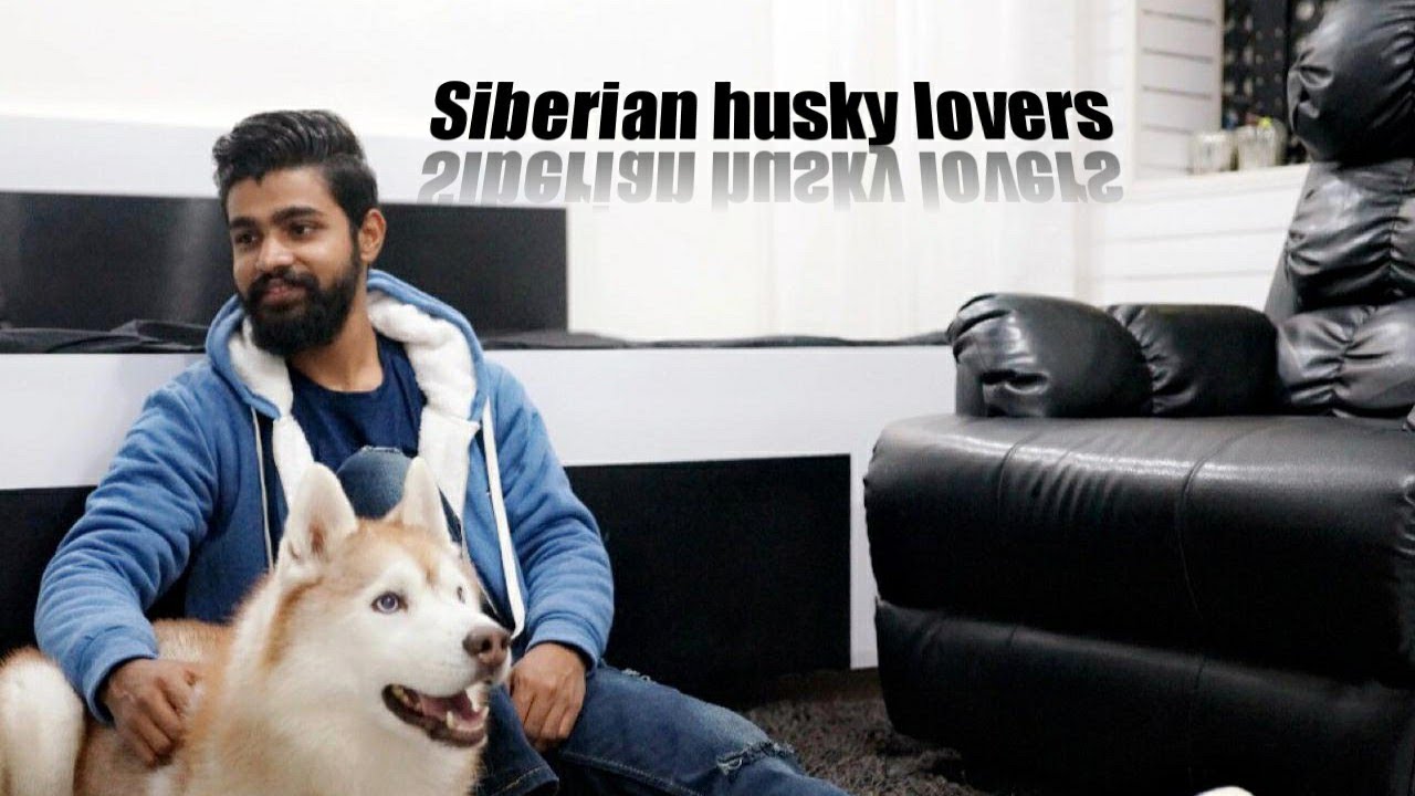 Siberian husky dog standard explained | Interview with jai makkar | Team furry poms