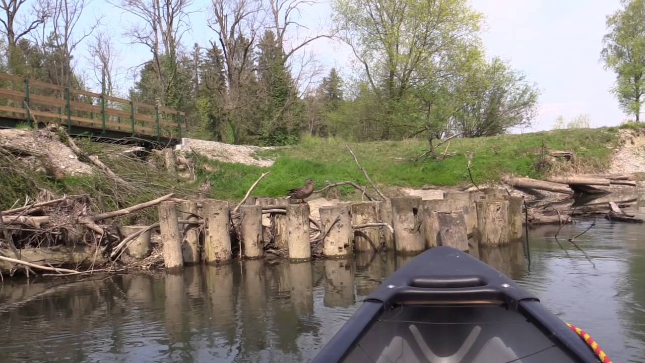 Kanutour auf dem alten Rhein von Höchst bis Gaissau