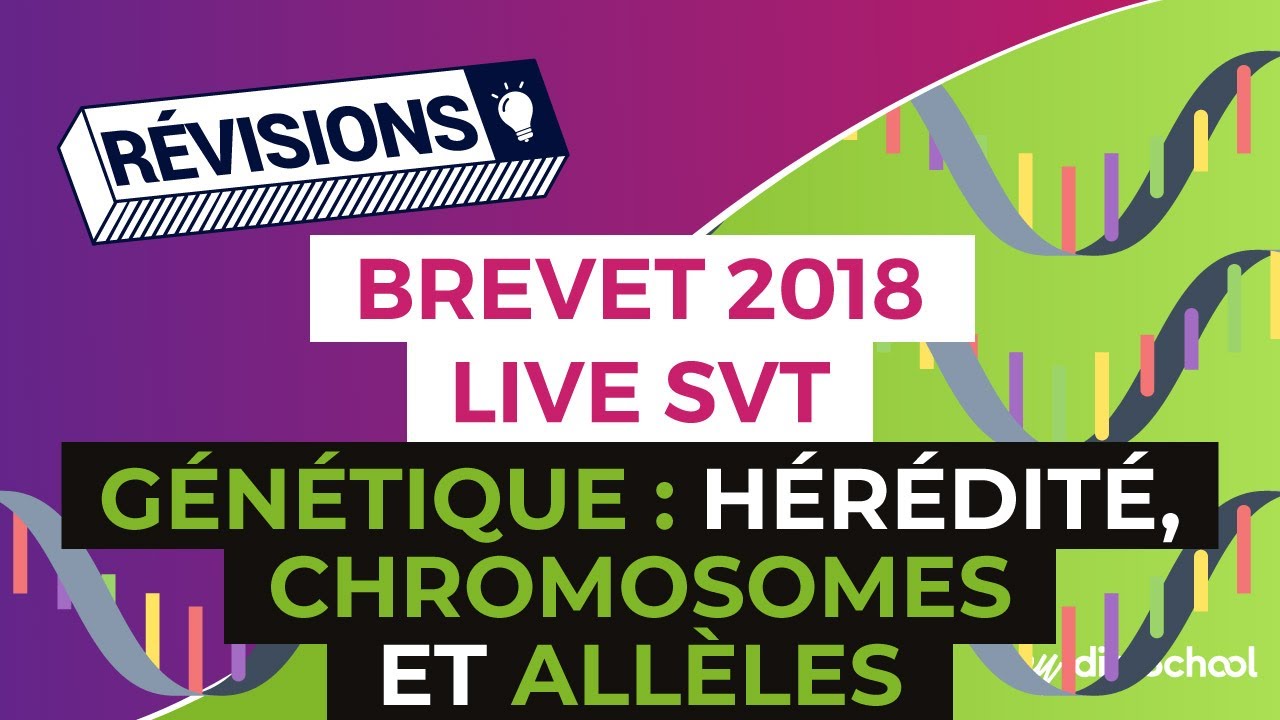 Brevet 2018 - Révisions de SVT en Live - Génétique : Hérédité, Chromosomes et Allèles