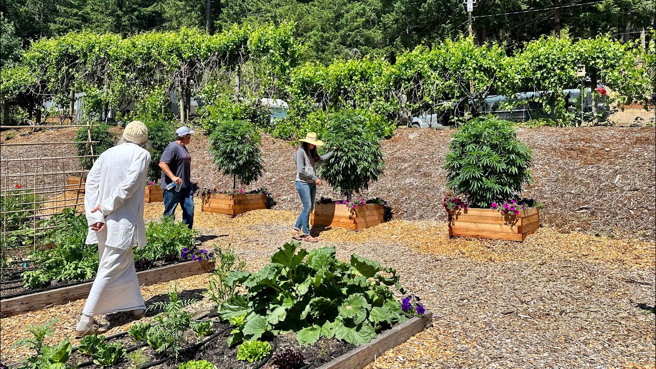 Ganjier Live Training: Huckleberry Hill Farms Tour