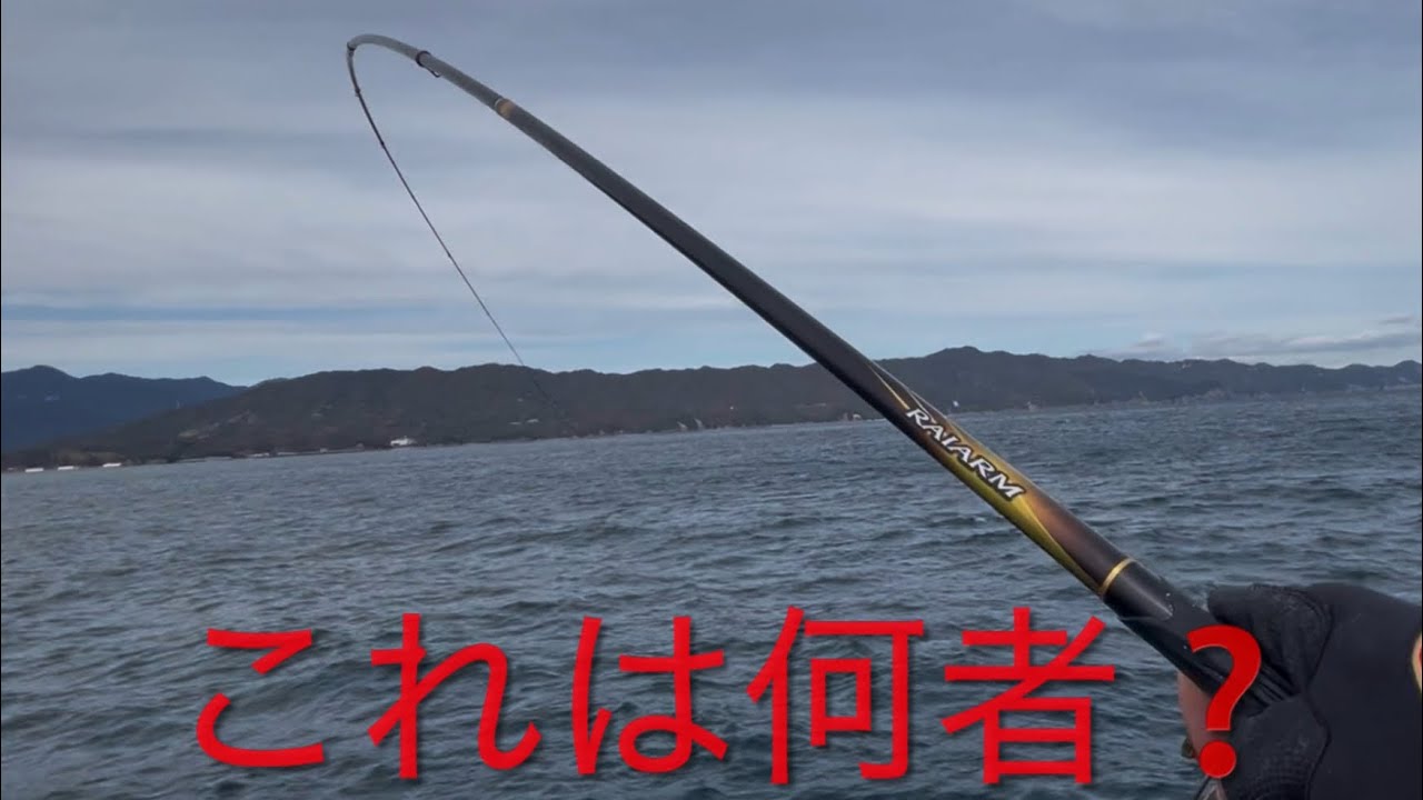 【徳島県牟岐津島磯のグレ釣り】只今好釣果続きの津島🎣私はついていけるのか？とりあえず前回の２匹をクリアする事が目標🫡これは何者⁉️