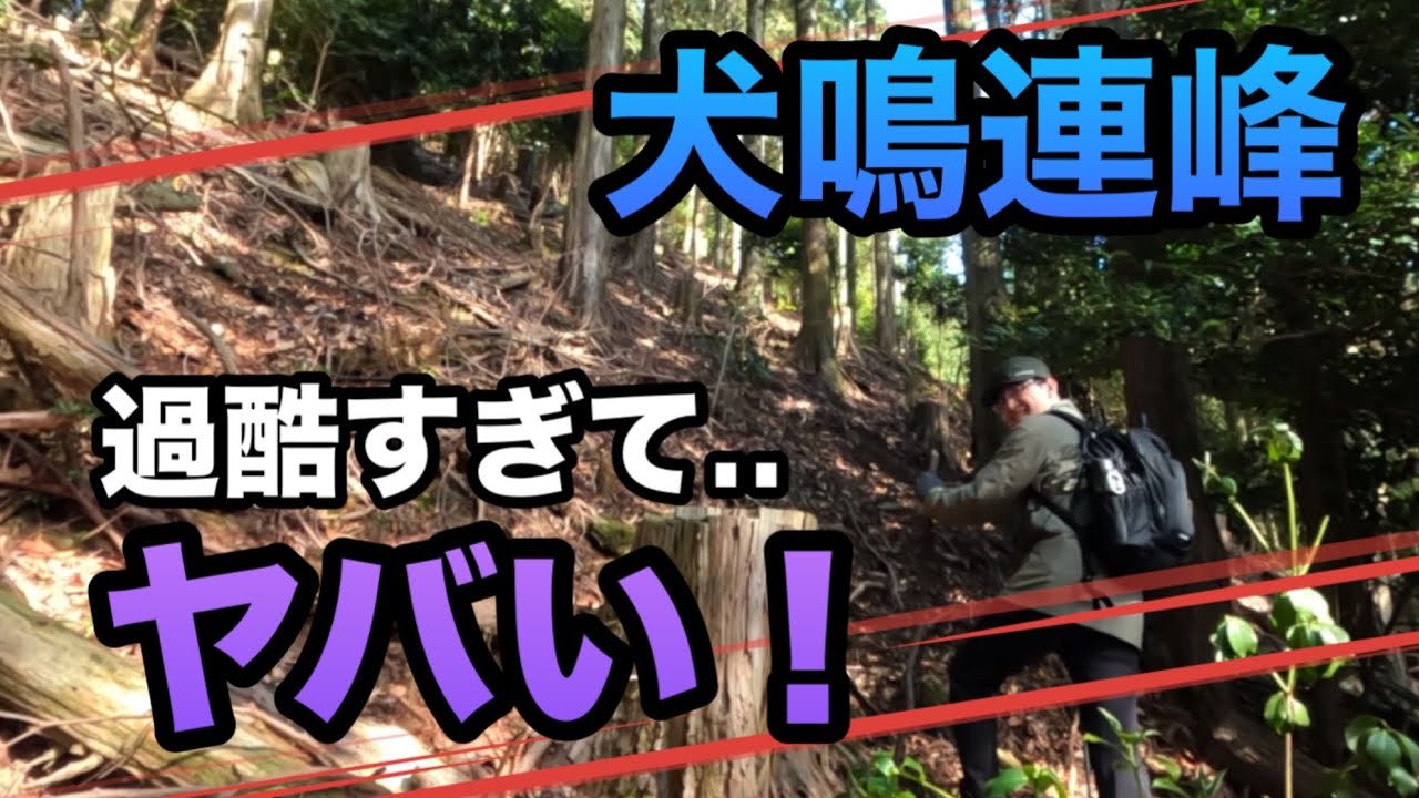 【犬鳴山・西山】犬でも悲鳴を上げて登った険しすぎる周回ルート！