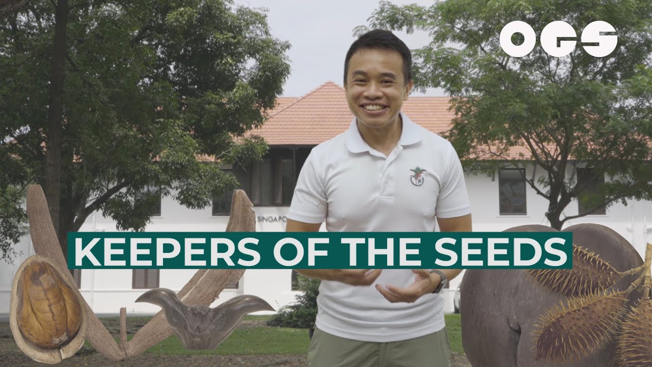 Inside Singapore&rsquo;s Only Seed Bank &ndash; Home to 750 Million Seeds of Different Plant Species