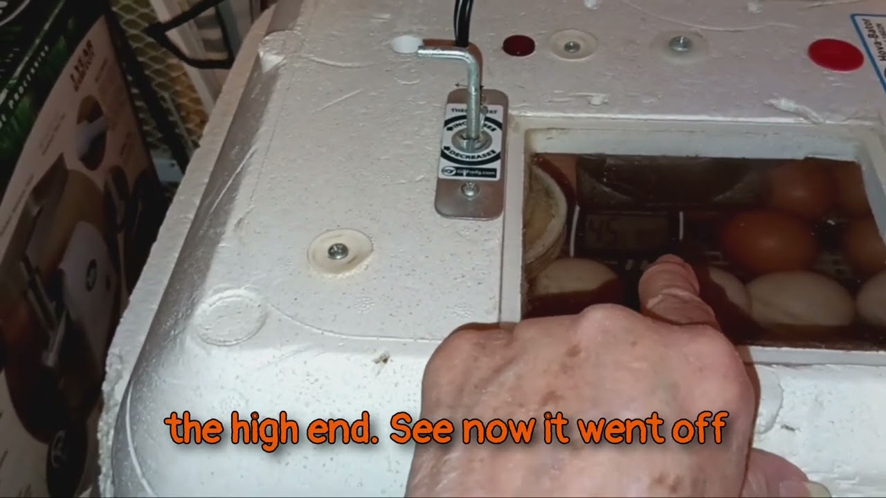 Hovabator 1602N W /Automatic Turner Review: Part 3: Operations